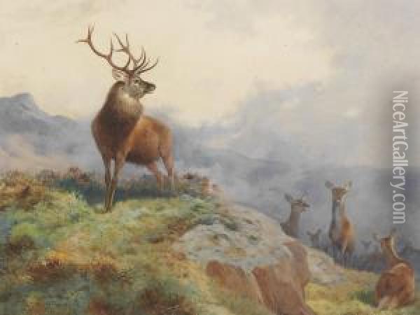 A Stag And Hinds In A Highland Landscape Oil Painting - Archibald Thorburn