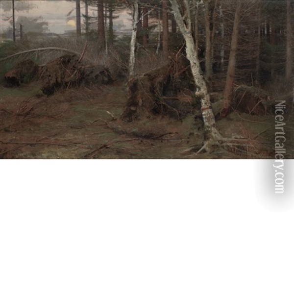 The Edge Of The Woods Oil Painting - Yuliy Yulevich (Julius) Klever