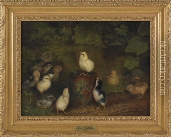 Sixteen Chicks, One Perched On A Tin Can Oil Painting - Ben Austrian