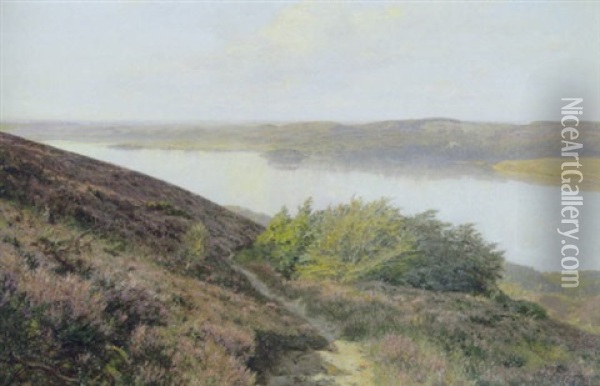 Lyngbakker Ved Silkeborgsoerne Oil Painting - Godfred Christensen