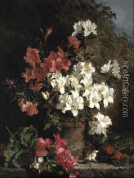 Still Life With Azaleas Oil Painting - Martha Darley Mutrie