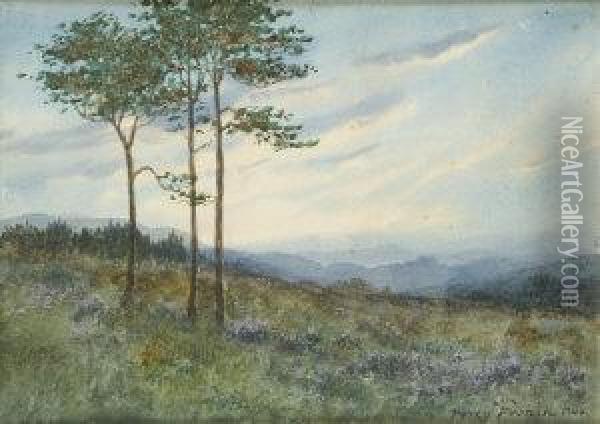 On The Outskirts Of The Pine Wood Oil Painting - William Percy French