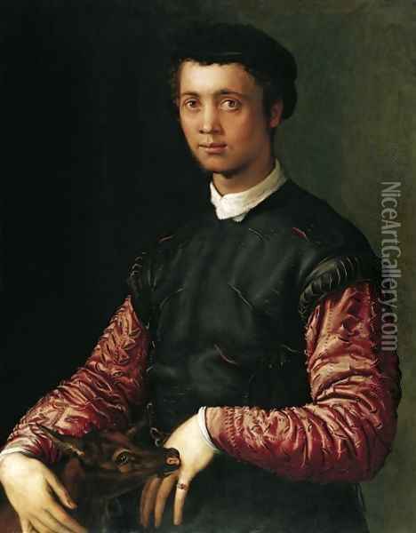 Portrait of a Young Man 1548 Oil Painting - Francesco de' Rossi