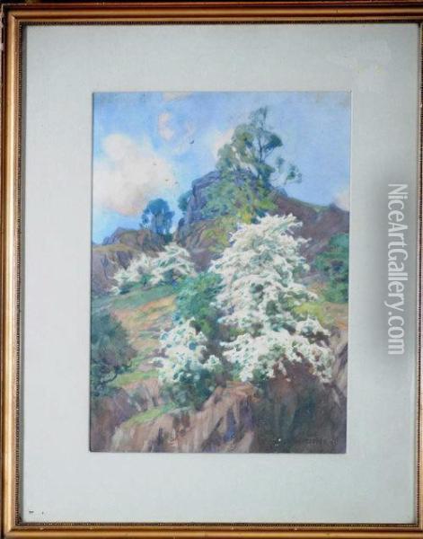 A Lakeland Hill With Blossoming Rowan Oil Painting - Alfred Heaton Cooper