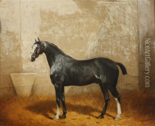 Portrait Of Dark Gray Hackney Oil Painting - Jonny Audy