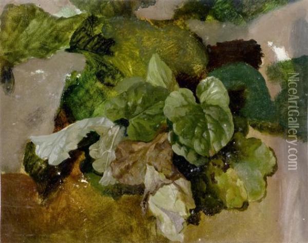 Plant Study Oil Painting - Louis, Ludwig Reinhardt