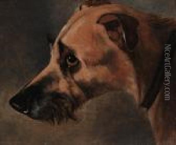 Study Of A Hound's Head Oil Painting - Of John Alfred Wheeler