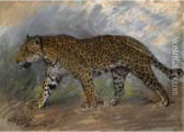 Jaguar Oil Painting - Geza Vastagh