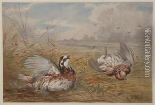Grouse Oil Painting - Alexander Pope