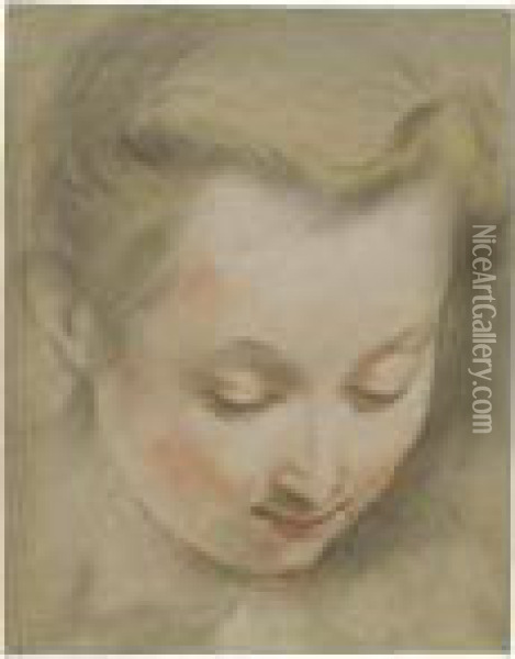 Study Of The Head Of A Young Woman Looking Down To The Right Oil Painting - Federico Fiori Barocci