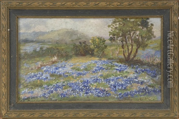 Field Of Bluebonnets Oil Painting - Eloise Polk Mcgill