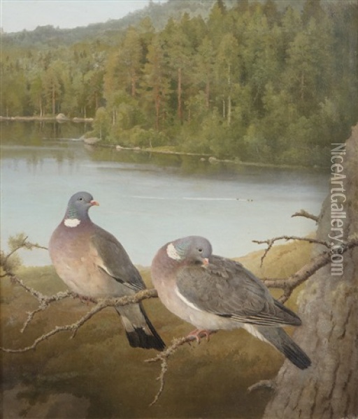 Pigeons Oil Painting - Ferdinand von Wright