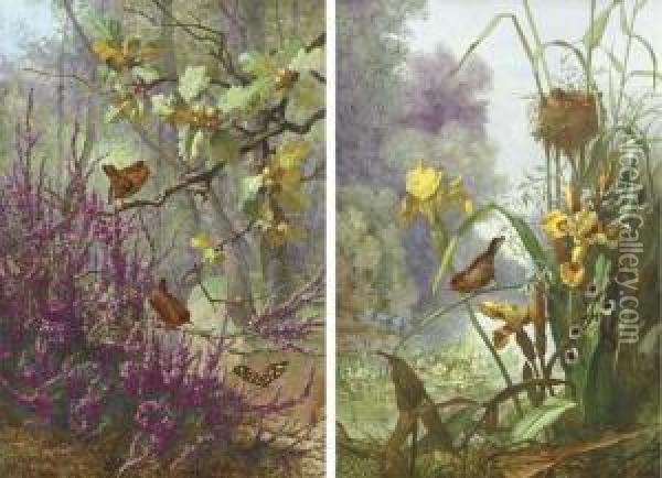 One Depicting Wrens On Oak Branches Above Heather And A Butterfly Oil Painting - Narcisse Vivien