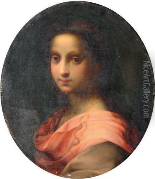 Jeune Femme En Buste Oil Painting - Andrea Del Sarto