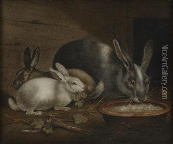 Three Various Rabbits Eating Greens In An Interior Oil Painting - Benjamin Zobel
