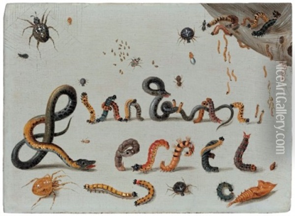 Spiders, Snakes And Caterpillars Entwined To Spell The Artist's Name Oil Painting - Jan van Kessel the Elder