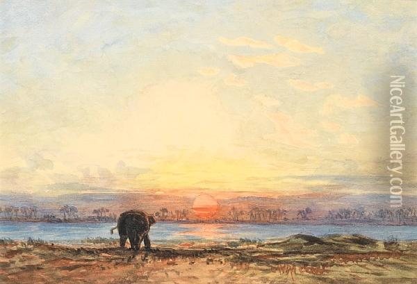 An Elephant At Dusk Oil Painting - Eduard Hildebrandt