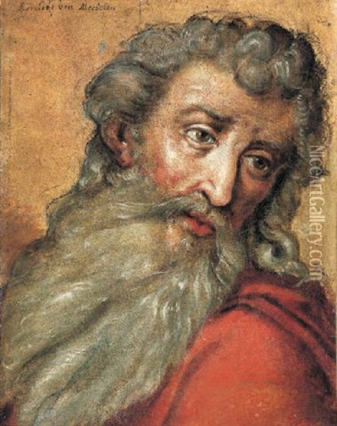 The Head Of A Bearded Man Looking To The Left Oil Painting - Theodoor Rombouts