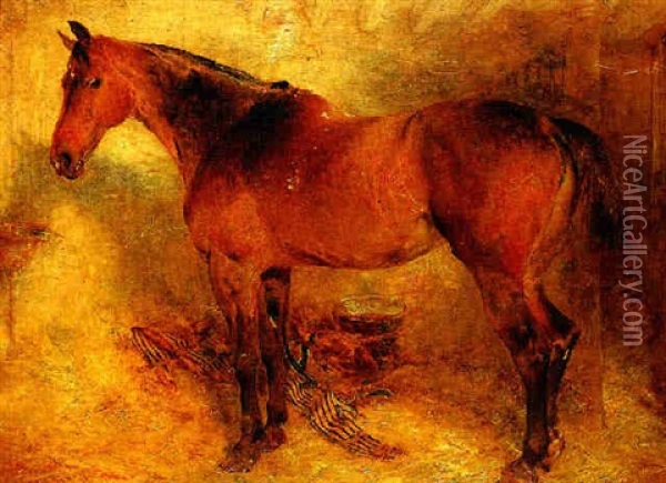 Horse In A Loose Box Oil Painting - William Huggins