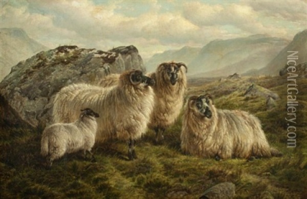 Highland Sheep In The Trossachs, Scotland Oil Painting - Charles Jones