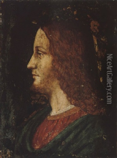 A Study Of The Head Of Christ Oil Painting - Bernardino dei Conti