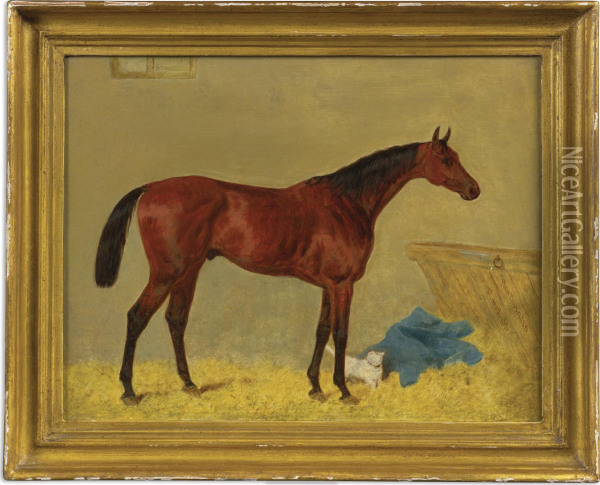 Hawthornden With Cat In A Stable, Property Of Mr. T.v. Morgan Of Chelsea Oil Painting - Harry Hall