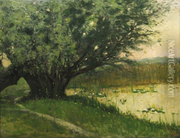 Tree At The Border Of The Pond Oil Painting - Nicolae Petrescu Mogos