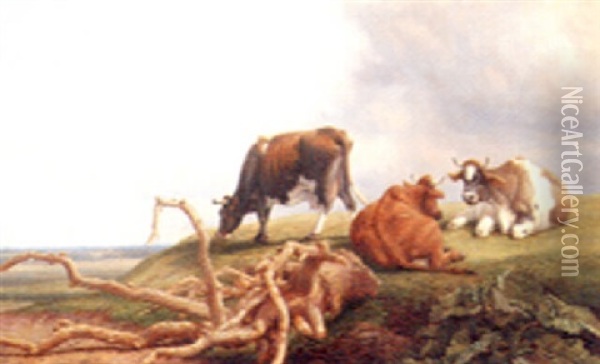 Cattle Resting In The Afternoon Sunshine Oil Painting - Thomas Baker