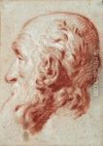The Head Of Giulio Contarini, After Alessandro Vittoria Oil Painting - Giovanni Battista Tiepolo