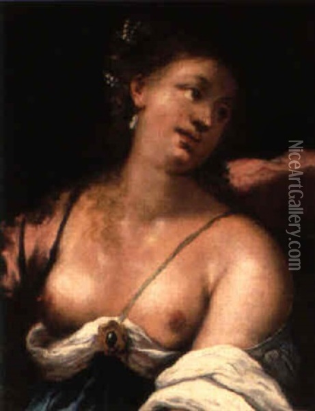 Bildnis Einer Jungen Frau Mit Perlen Im Haar Oil Painting - Pietro (Libertino) Liberi