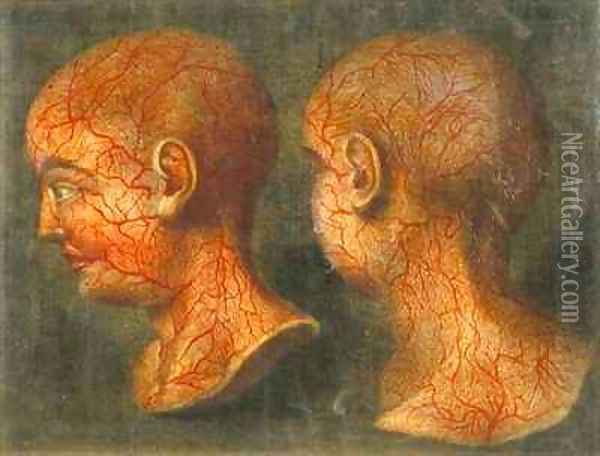 Superficial blood vessels of the head and neck Oil Painting - Jacques - Fabien Gautier - Dagoty