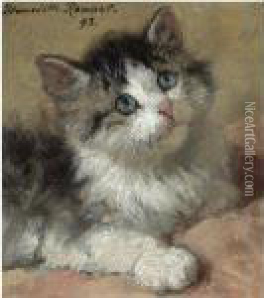 An Inquisitive Kitten Oil Painting - Henriette Ronner-Knip