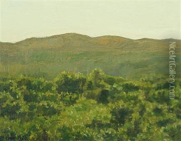 Landscape At Skagen Plantation Oil Painting - Einar Hein
