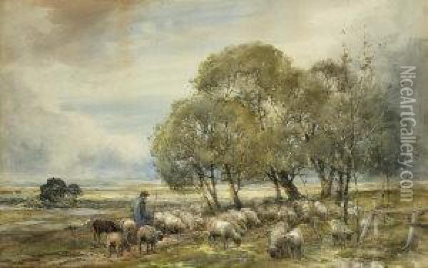 Sheep In A Landscape Oil Painting - Claude Hayes