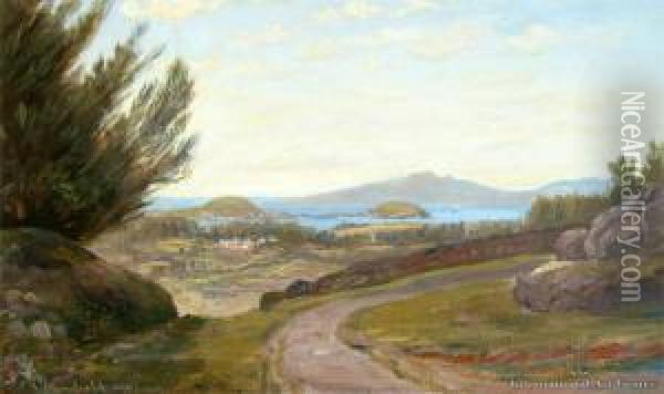View Of Auckland From Mt Eden Oil Painting - Charles Blomfield