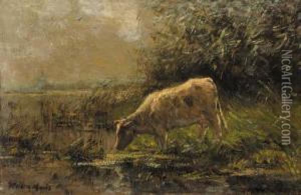 A Watering Cow At The Riverbank Oil Painting - Willem Maris