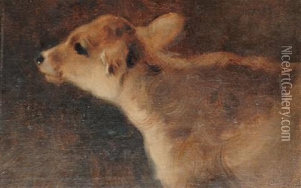 A Calf Oil Painting - George William Horlor