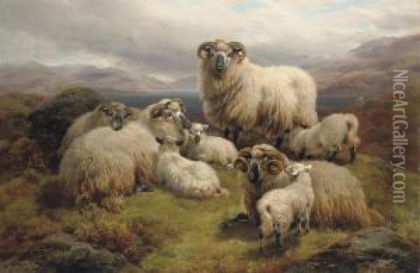 Sheep Grazing By A Loch Oil Painting - William Watson