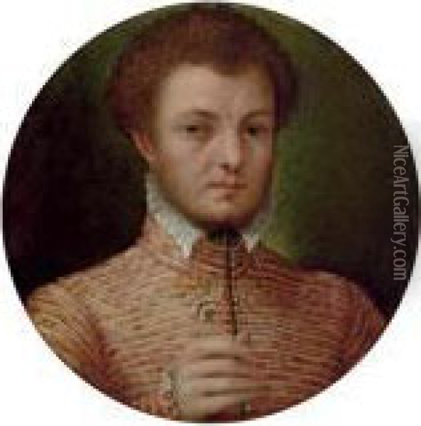 Portrait Of A Gentleman, 
Bust-length, In A Red And Yellow Brocade Jacket, With A Lace Collar Oil Painting - Lavinia Fontana