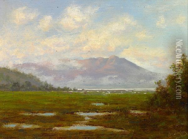 Tamalpais From The Marshes Oil Painting - Charles Robinson