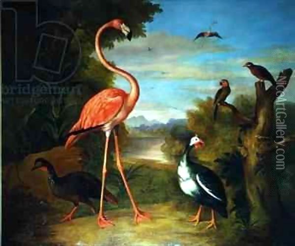 Flamingo and Other Birds in a Landscape Oil Painting - Giovanni Boggi