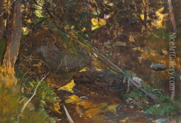 Waldnaab-ufer Bei Windisch-eschenbach Oil Painting - Eugen Felix Prosper Bracht