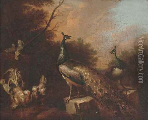 Peacocks and chickens in a landscape Oil Painting - Pieter Casteels III
