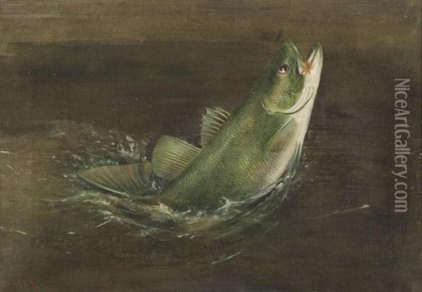 Bass Rising Oil Painting - Harry A. Driscole