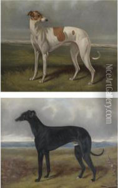 Two Greyhounds 
Phyllida
 And 
Phoebus Oil Painting - George Philip Reinagle