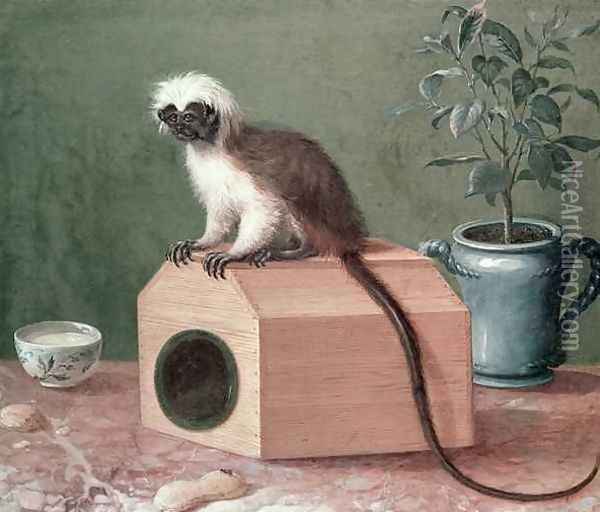 The Favourite Monkey of Carl Linnaeus 1707-78 Oil Painting - Gustavus Hesselius