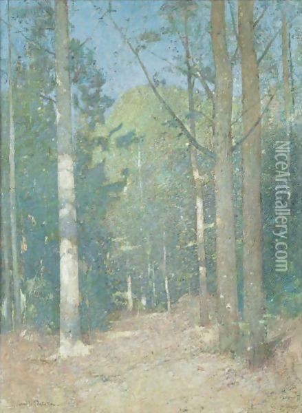Afternoon Sunlight Oil Painting - Emil Carlsen