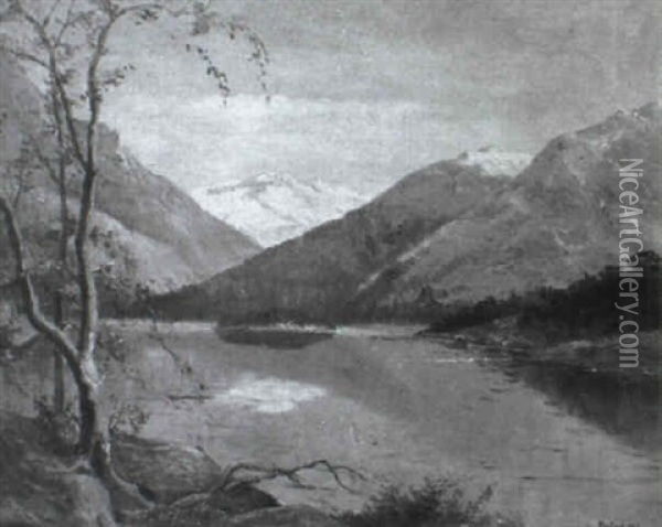 Baumbestandene Flusslandschaft Oil Painting - Otto Gampert