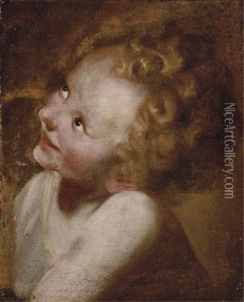 Study Of The Head Of The Christ Child Oil Painting - Federico Barocci