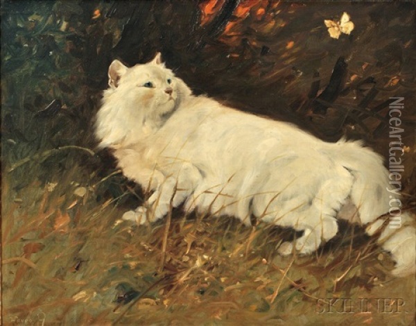 Cat And Butterfly Oil Painting - Arthur Heyer